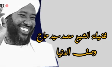 وصف الدنيا